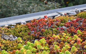 the cost of Treglemais green roof installation