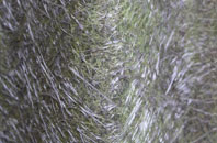 Treglemais fibreglass roof work